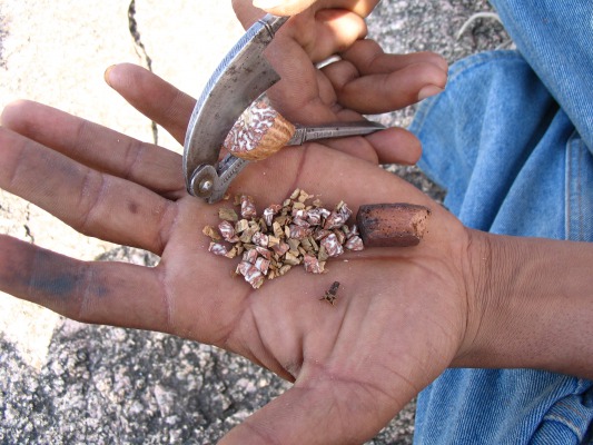 The betelnut, which they chop into pieces with that tool, add a bit of that red brick (some spices) and cloves and then eat it (it is hard but eventually dissolves, I tried just the nut)