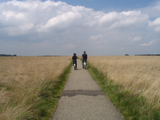 Aideen and Marcel cycling to the Kroller Muller museum.